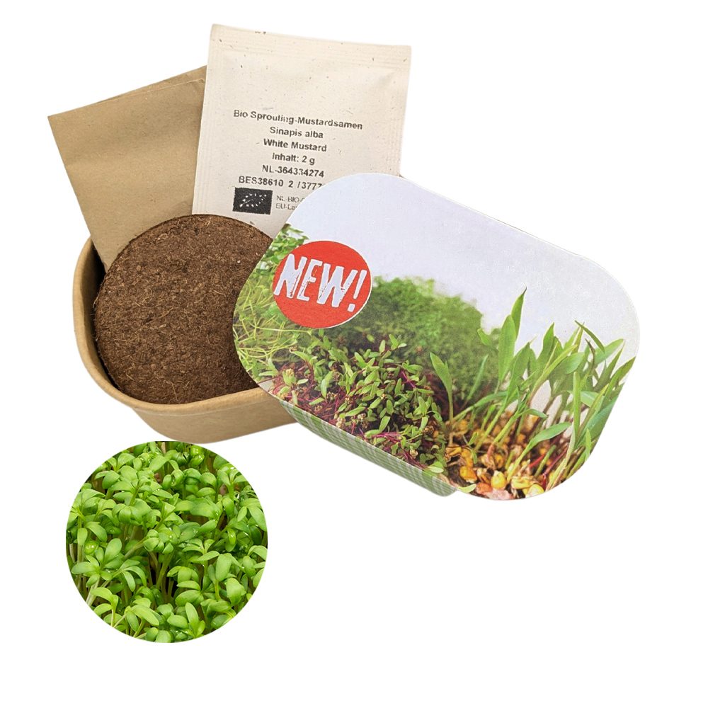 Microgreen Samen Pflanzset (klein), Kresse