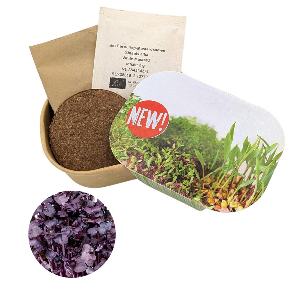 Microgreen Samen Pflanzset (klein), Radies Sango