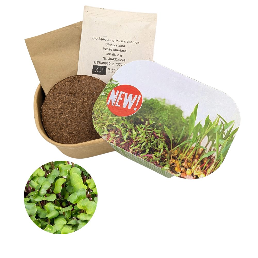 Microgreen Samen Pflanzset (klein), Rettich China Rose
