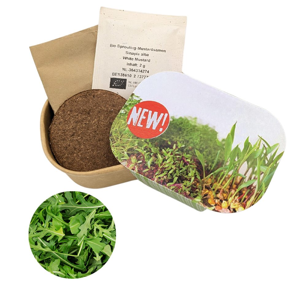 Microgreen Samen Pflanzset (klein), Rucola