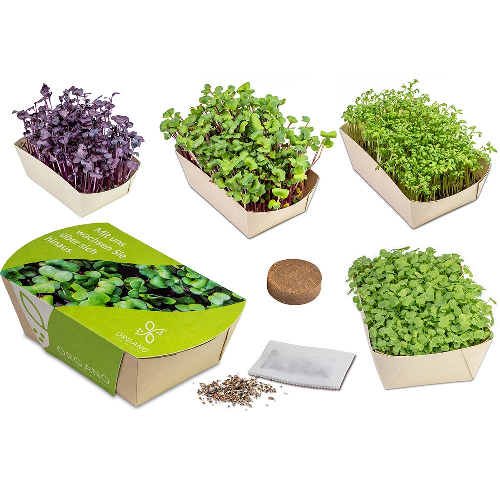 Microgreens-Gärtchen, emotion factory