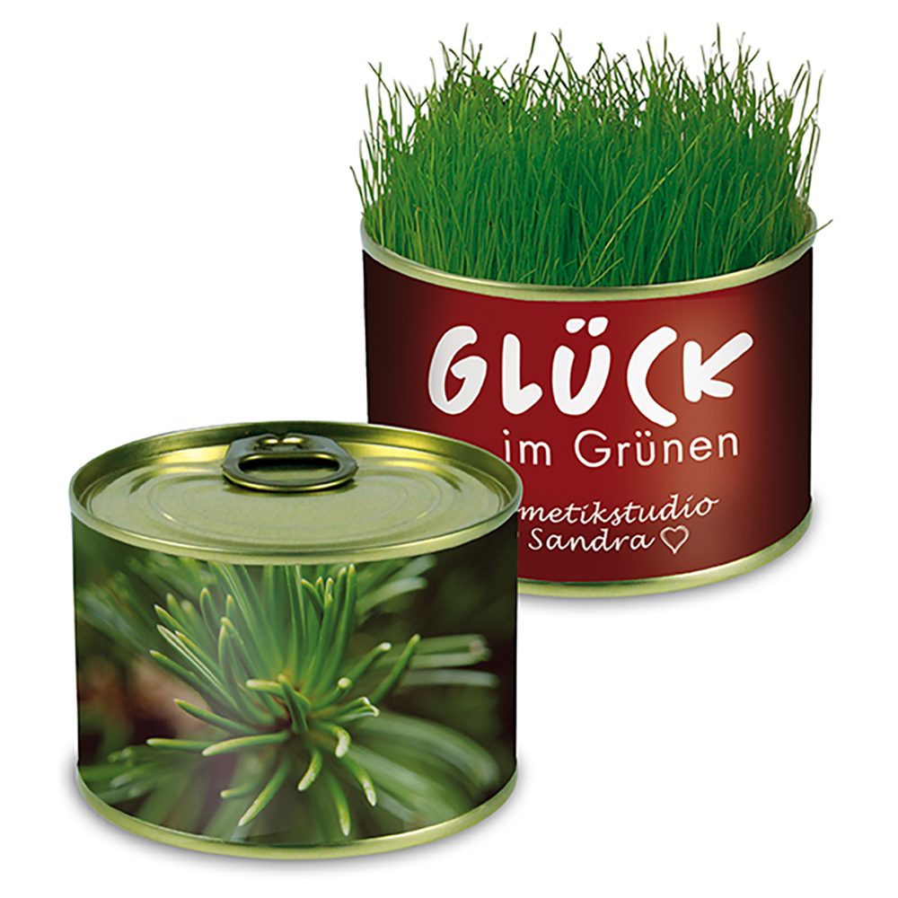 Natur-Konserve mit Samen, Fichte