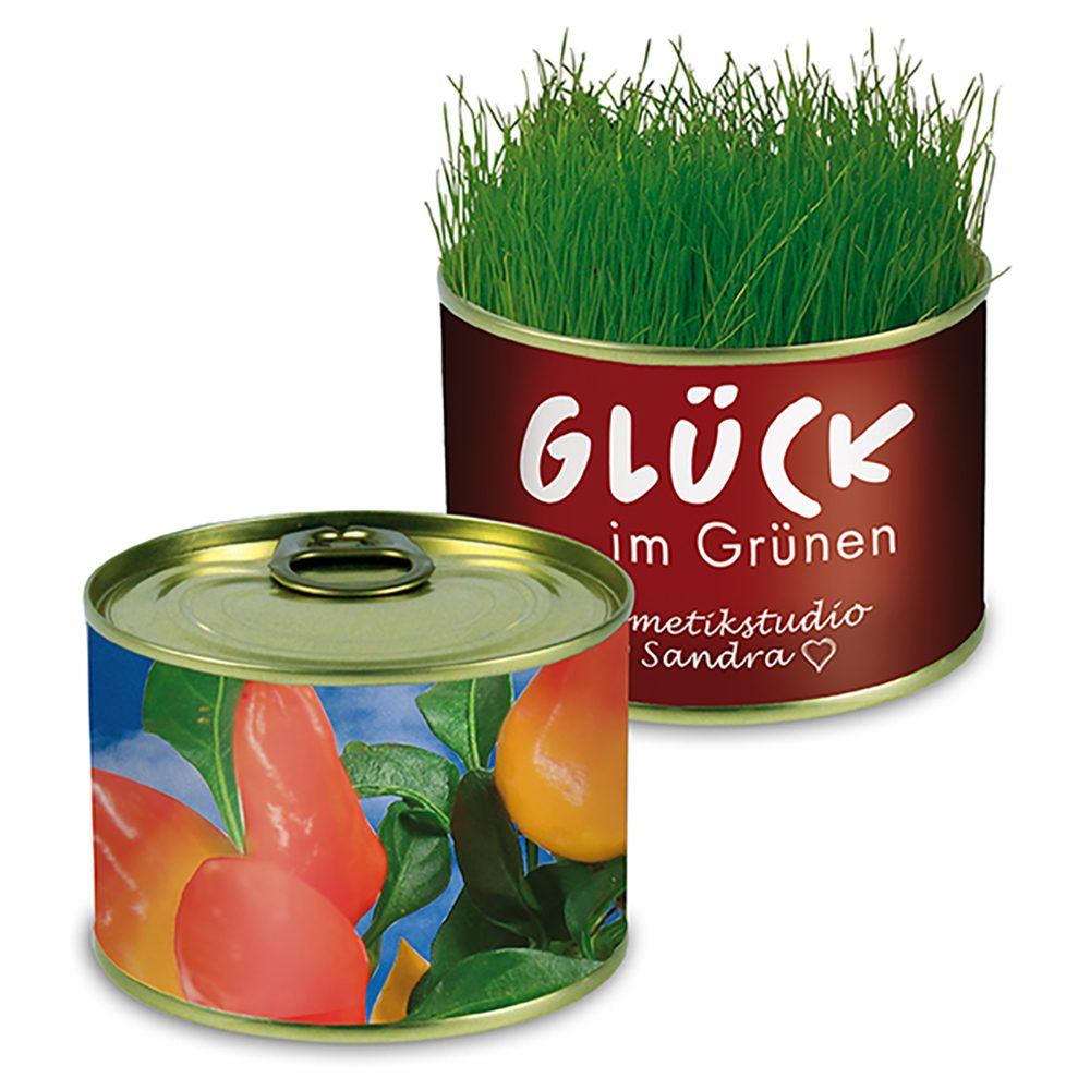 Natur-Konserve mit Samen, Gewürzpaprika