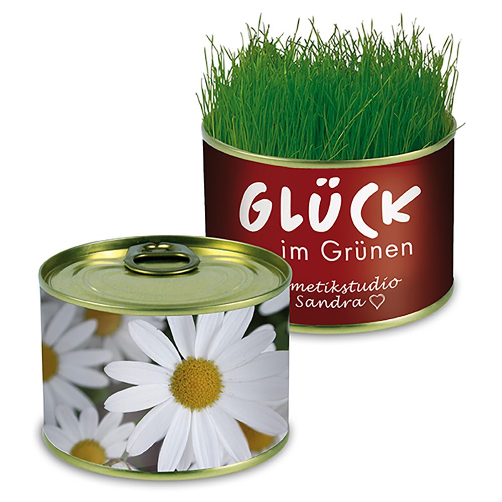 Natur-Konserve mit Samen, Margerite