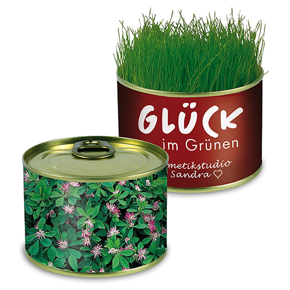 Natur-Konserve mit Samen, Persischer Klee