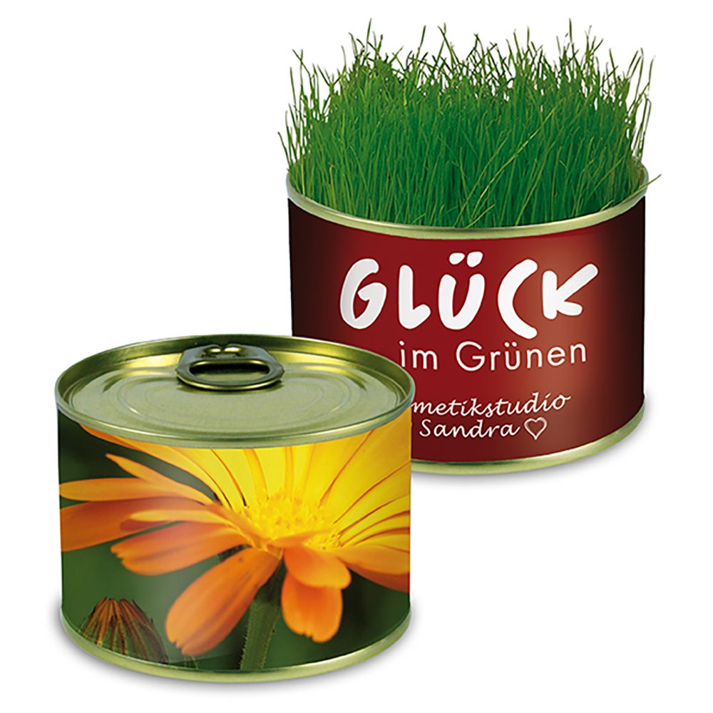 Natur-Konserve mit Samen, Ringelblume