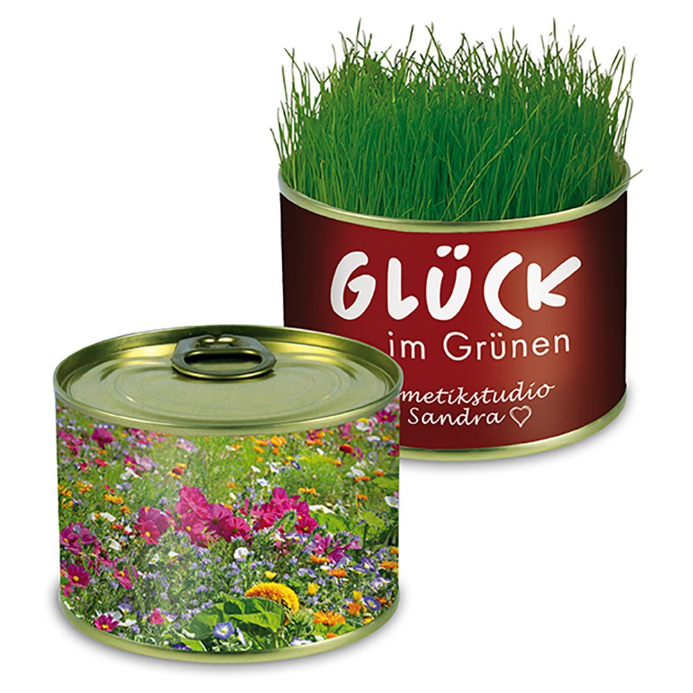 Natur-Konserve mit Samen, Sommerblumenmischung
