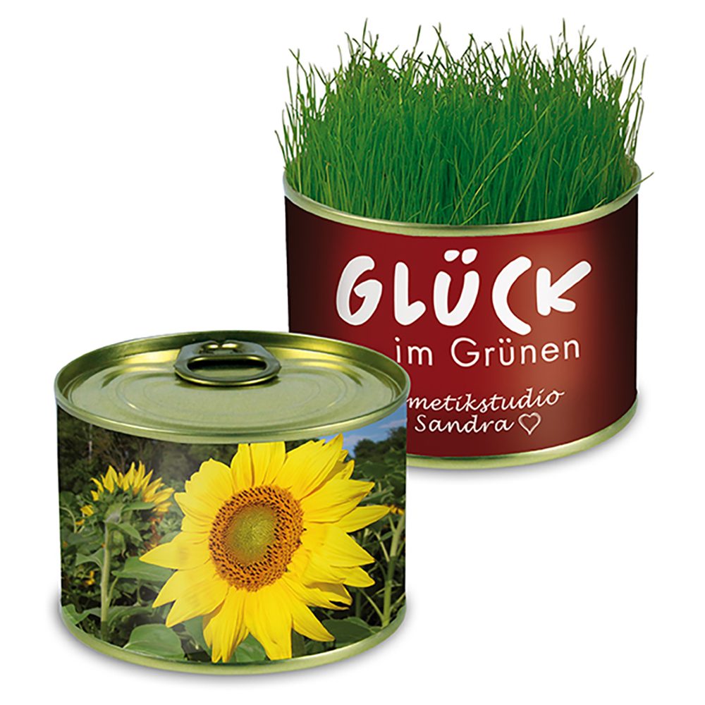 Natur-Konserve mit Samen, Sonnenblume