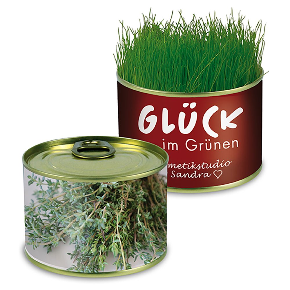 Natur-Konserve mit Samen, Thymian