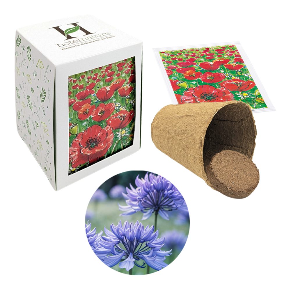 Passepartout Samenpflanzset, Kornblume