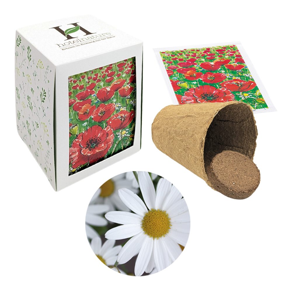 Passepartout Samenpflanzset, Margerite