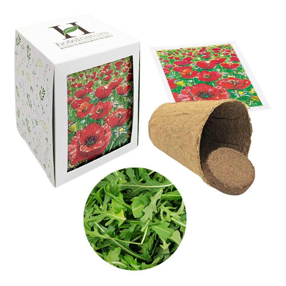 Passepartout Samenpflanzset, Rucola
