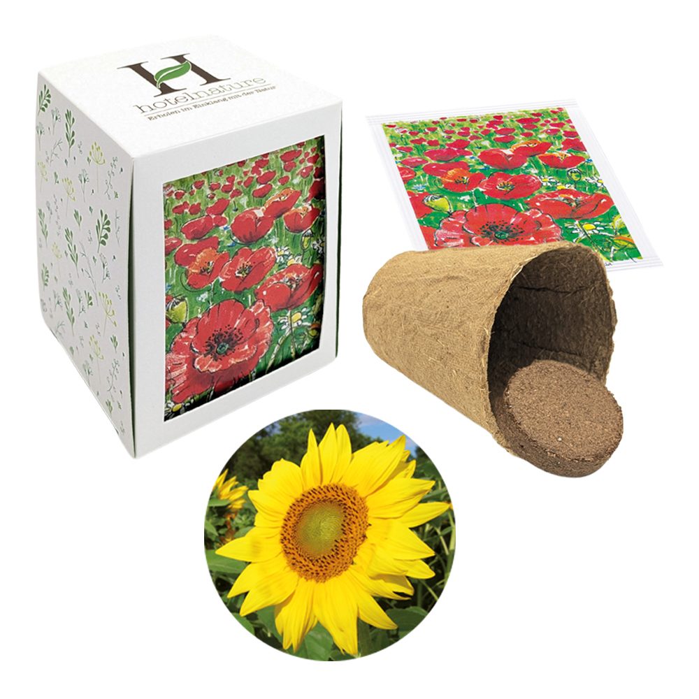 Passepartout Samenpflanzset, Sonnenblume
