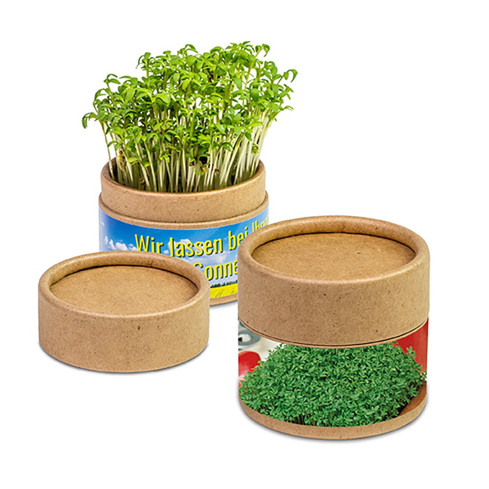 Pflanz-Cup mit Samen, Gartenkresse