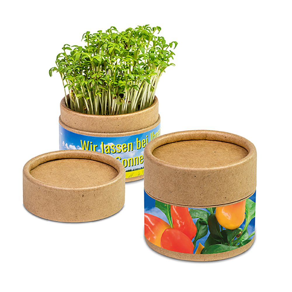 Pflanz-Cup mit Samen, Gewürzpaprika