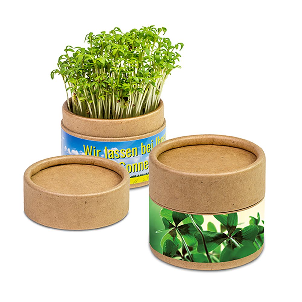 Pflanz-Cup mit Samen, Glücksklee-Zwiebeln (* Je nach Verfügbarkeit der Glücksklee-Zwiebeln)