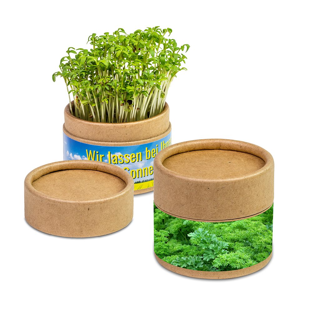 Pflanz-Cup mit Samen, Petersilie