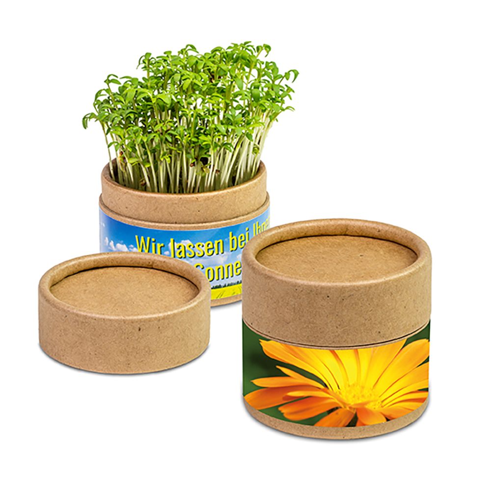 Pflanz-Cup mit Samen, Ringelblume