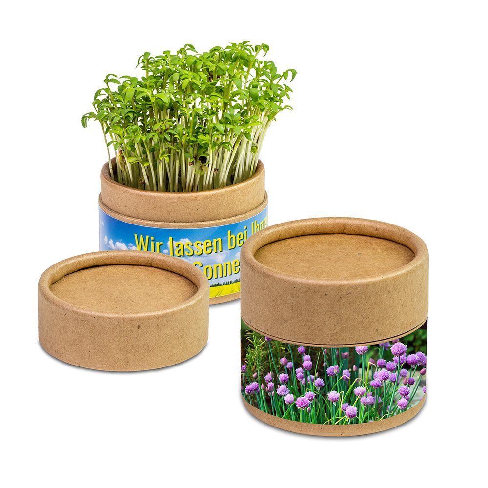 Pflanz-Cup mit Samen, Schnittlauch