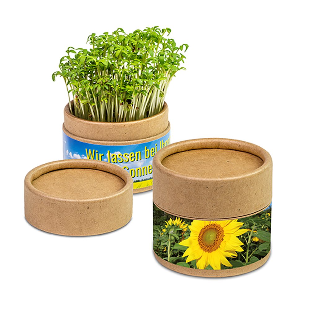Pflanz-Cup mit Samen, Sonnenblume