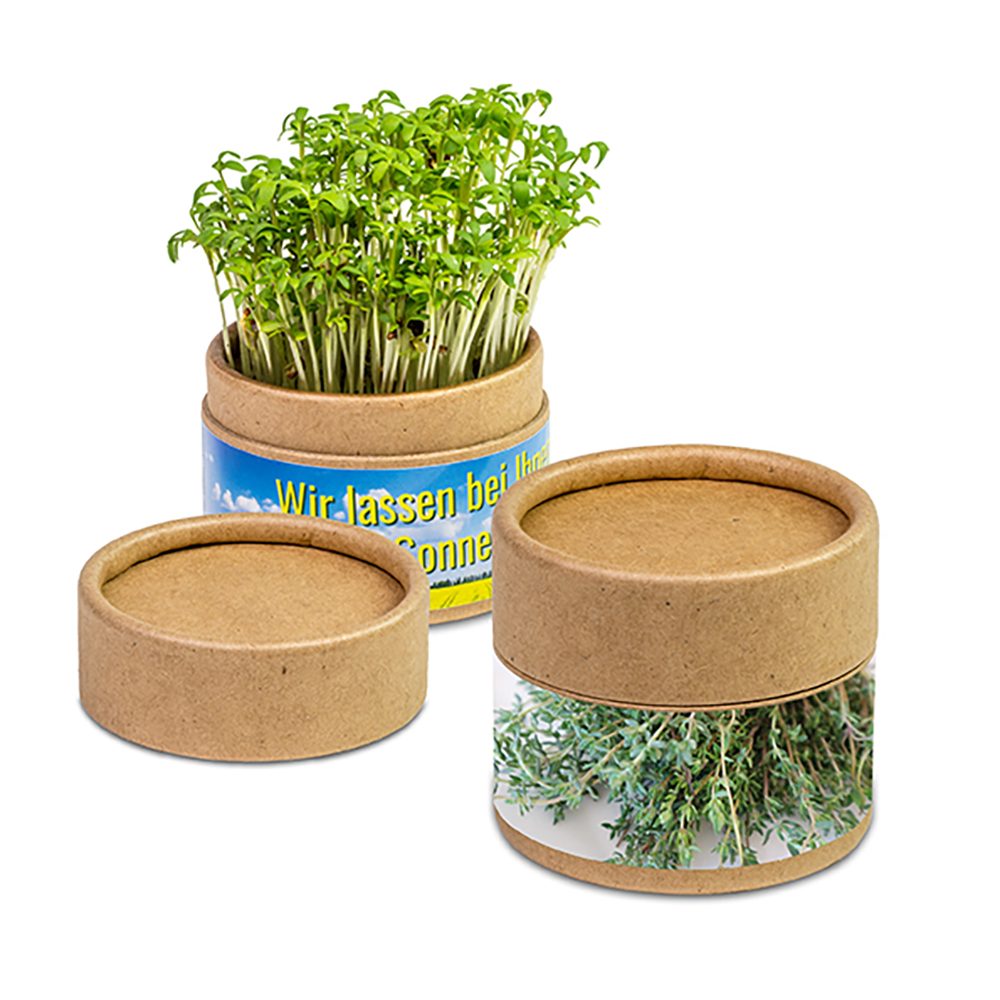 Pflanz-Cup mit Samen, Thymian