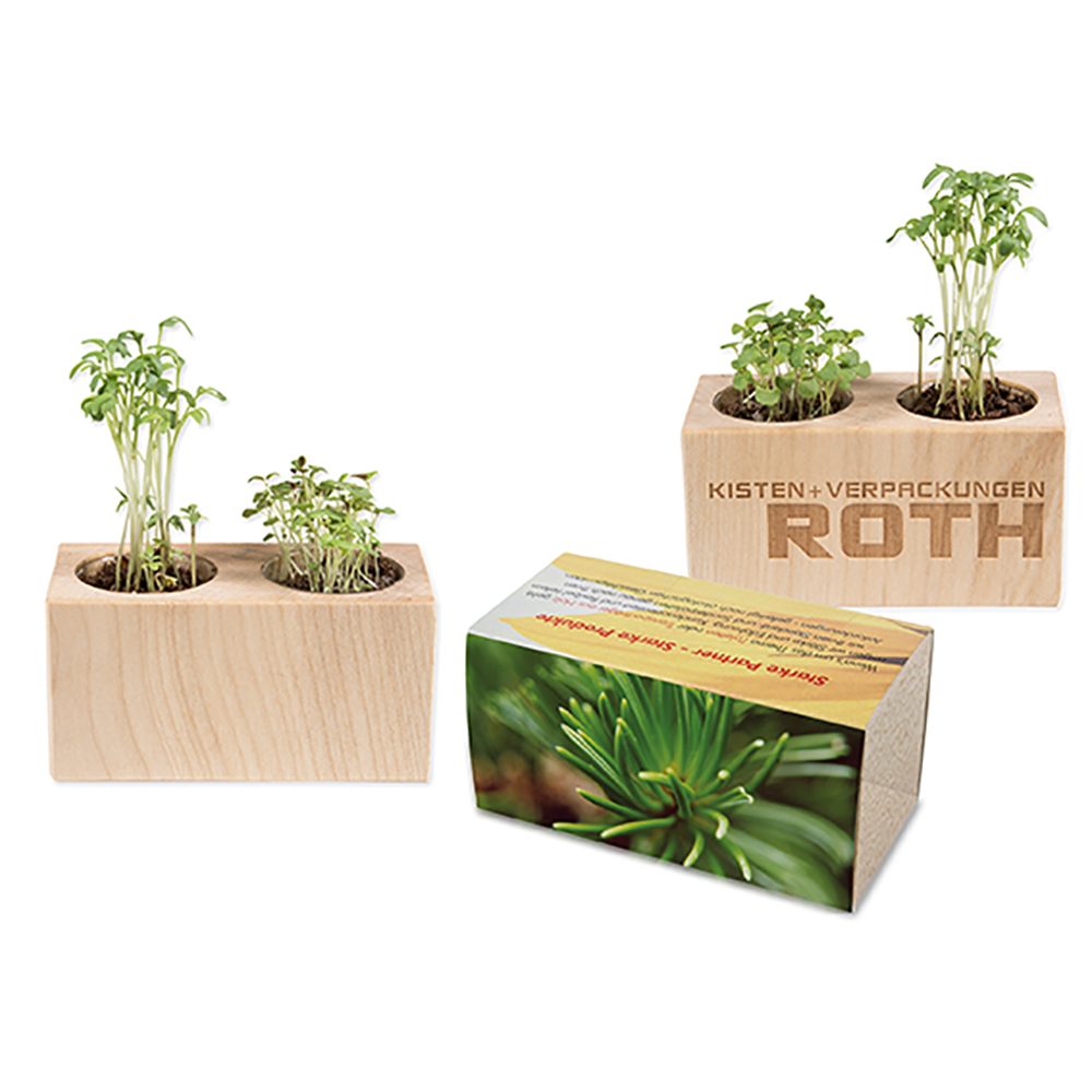 Pflanz-Holz 2er Set mit Samen, Fichte