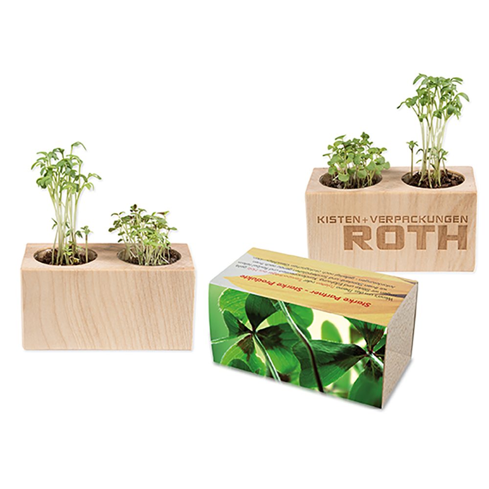 Pflanz-Holz 2er Set mit Samen, Glücksklee-Zwiebel (* Je nach Verfügbarkeit der Glücksklee-Zwiebeln)