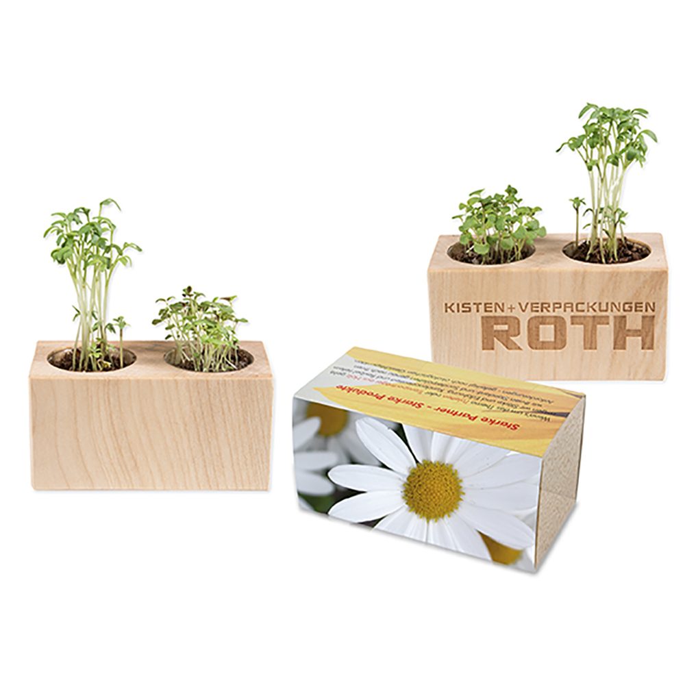 Pflanz-Holz 2er Set mit Samen, Margerite