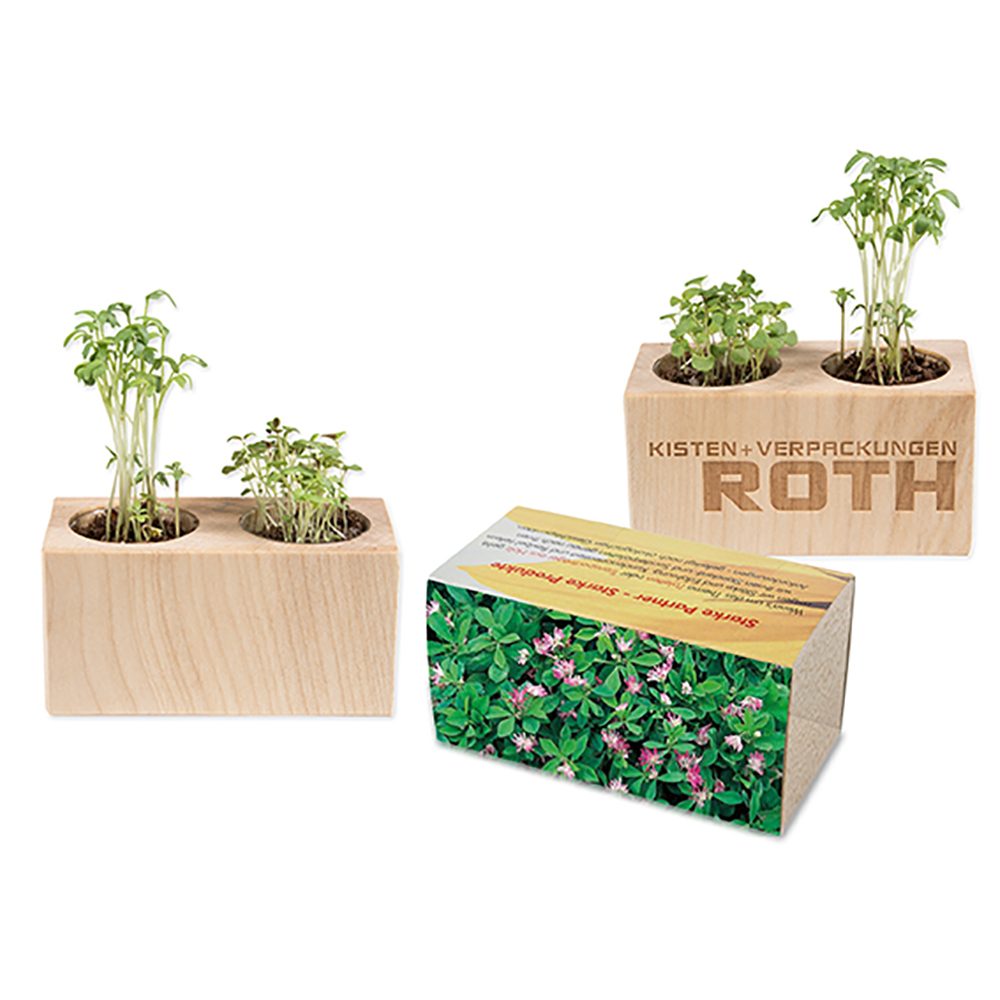 Pflanz-Holz 2er Set mit Samen, Persischer Klee