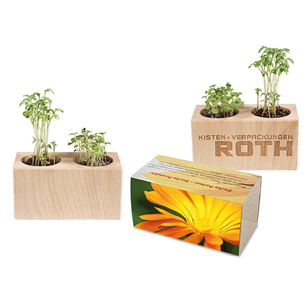 Pflanz-Holz 2er Set mit Samen, Ringelblume