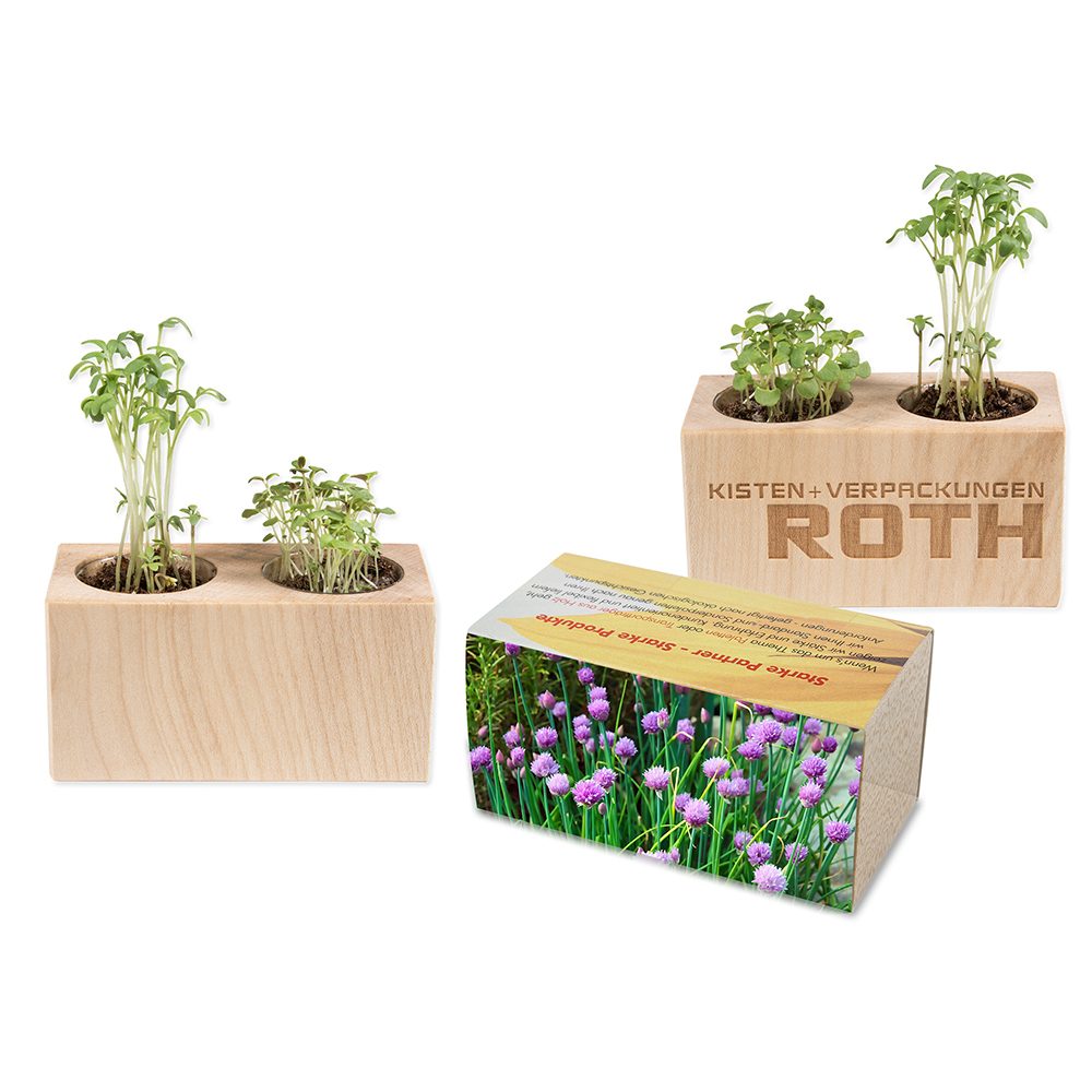Pflanz-Holz 2er Set mit Samen, Schnittlauch
