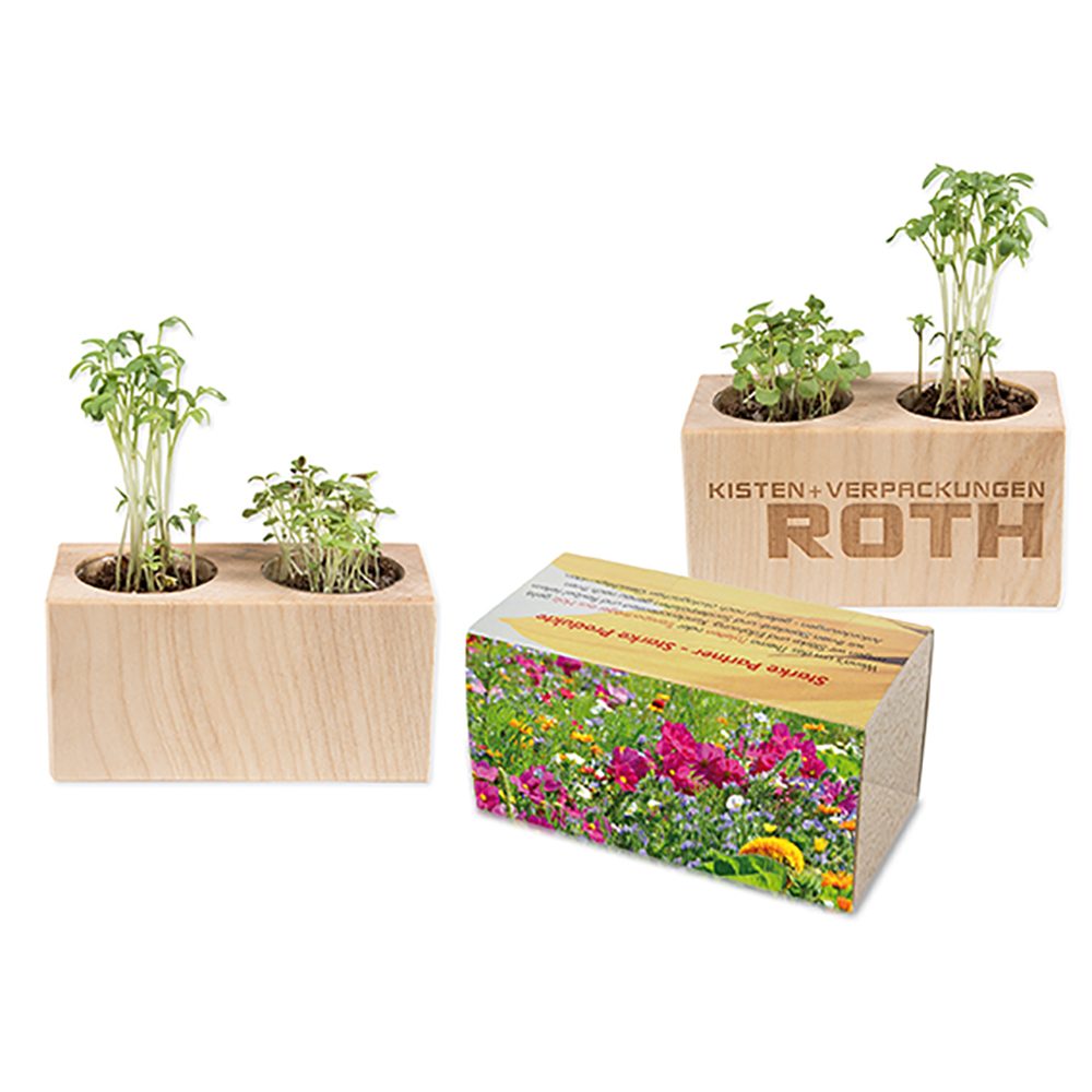 Pflanz-Holz 2er Set mit Samen, Sommerblumenmischung