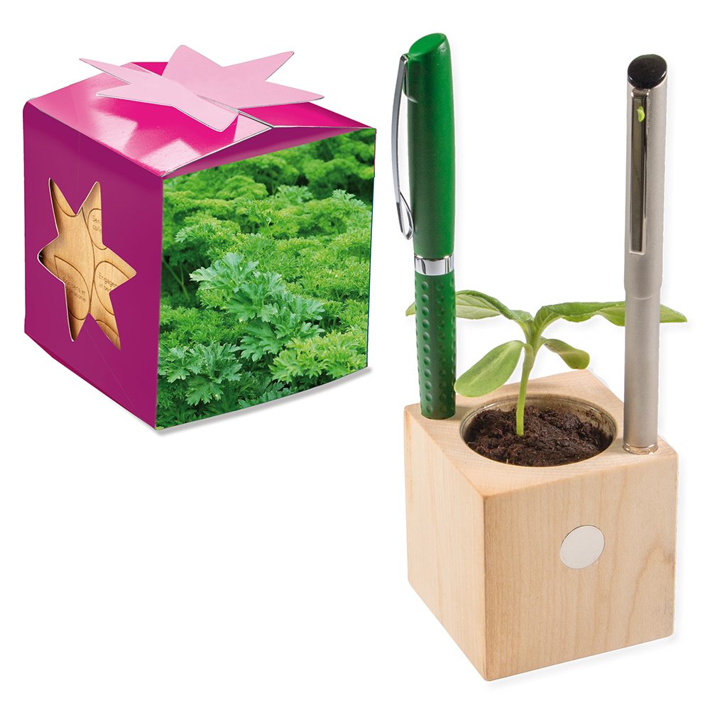 Pflanz-Holz Büro Star-Box mit Samen, Petersilie