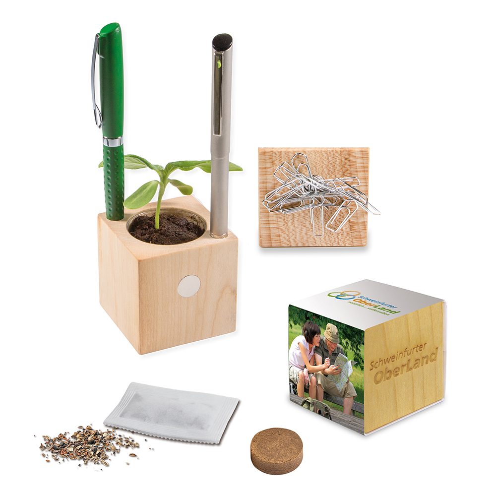 Pflanz-Holz Büro mit Samen, emotion factory