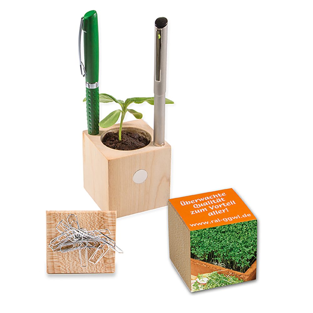 Pflanz-Holz Büro mit Samen, Gartenkresse