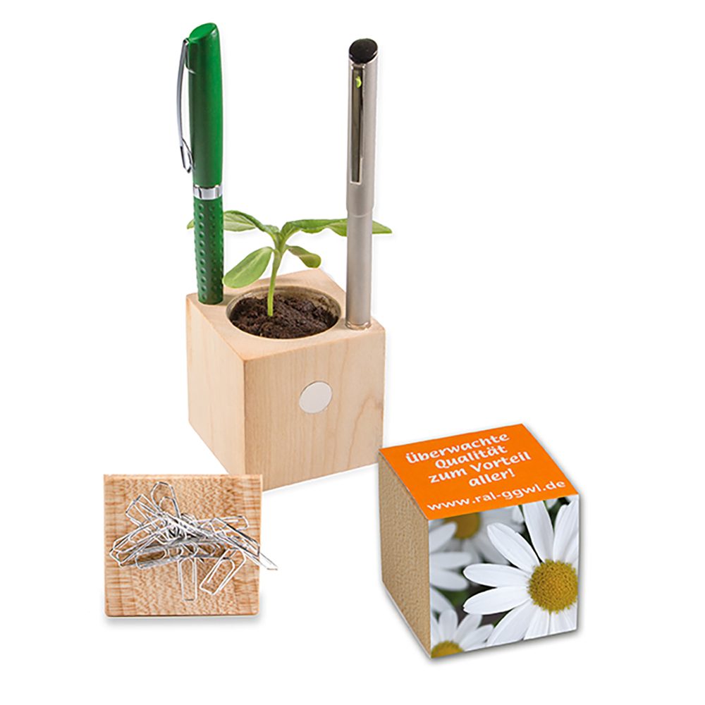 Pflanz-Holz Büro mit Samen, Margerite