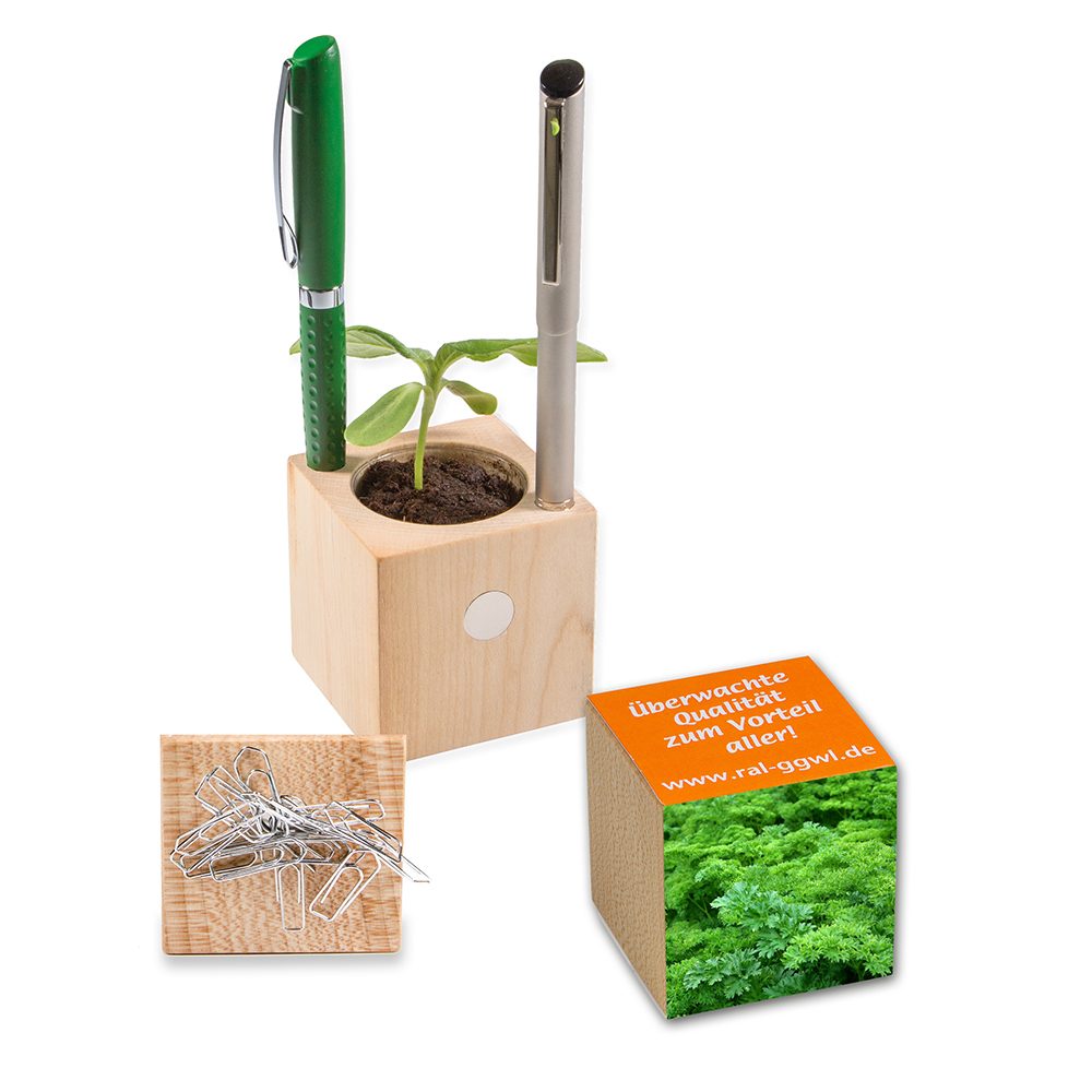 Pflanz-Holz Büro mit Samen, Petersilie