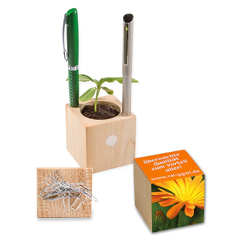 Pflanz-Holz Büro mit Samen, Ringelblume