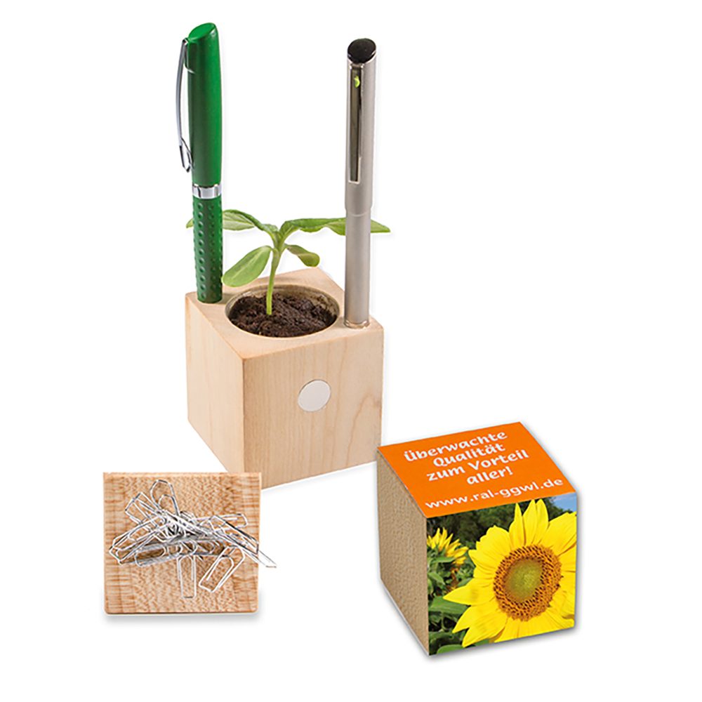Pflanz-Holz Büro mit Samen, Sonnenblume