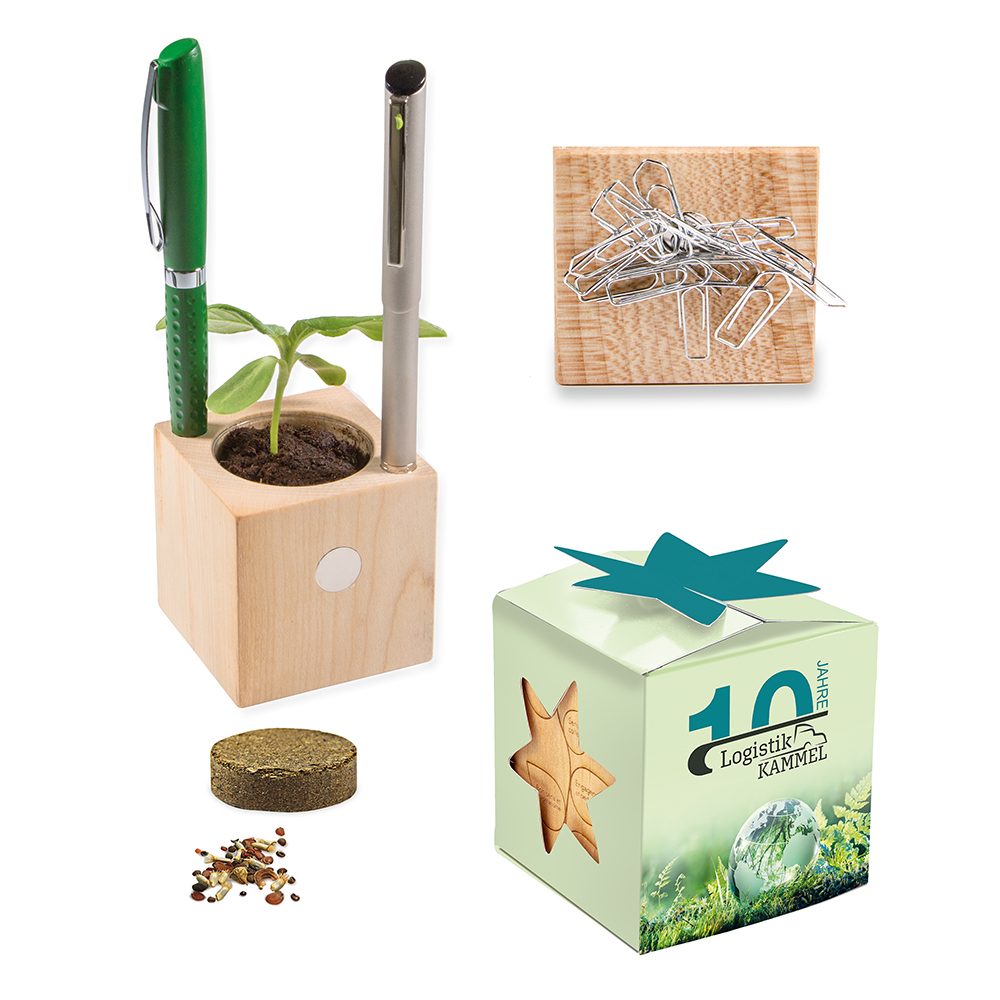 Pflanz-Holz Büro Star-Box mit Samen, emotion factory