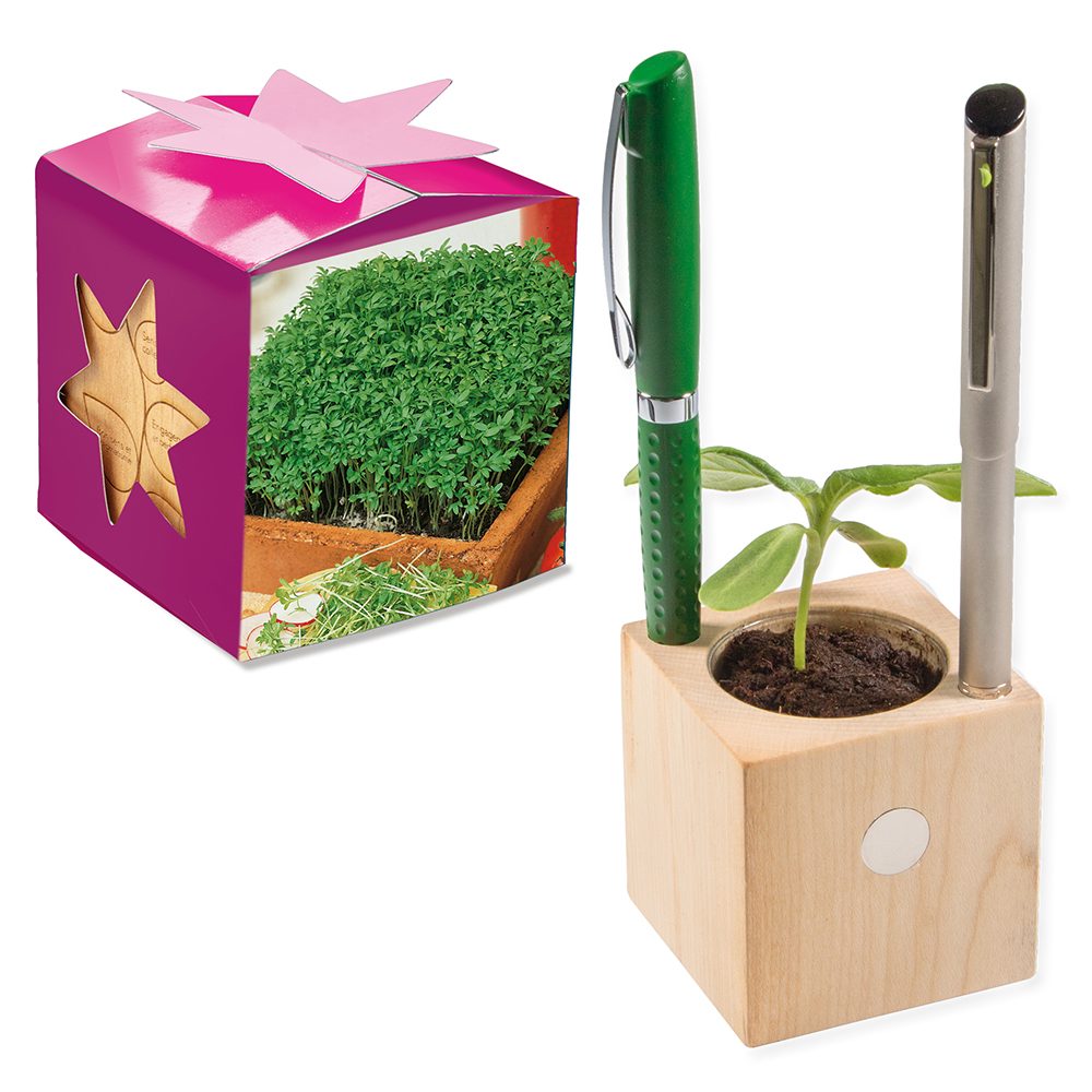 Pflanz-Holz Büro Star-Box mit Samen, Gartenkresse