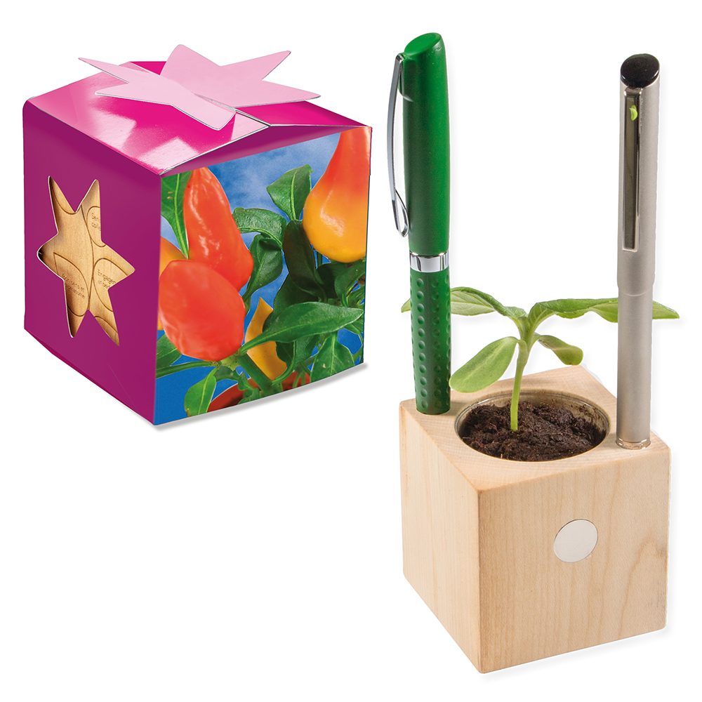 Pflanz-Holz Büro Star-Box mit Samen, Gewürzpaprika