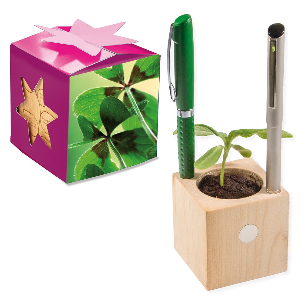 Pflanz-Holz Büro Star-Box mit Samen, Glücksklee-Zwiebel (* Je nach Verfügbarkeit der Glücksklee-Zwiebeln)