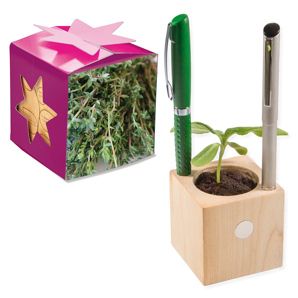 Pflanz-Holz Büro Star-Box mit Samen, Thymian