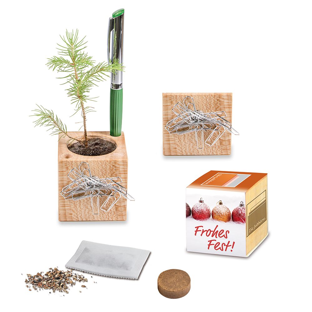 Pflanz-Holz Büro Xmas mit Fichtensamen, emotion factory