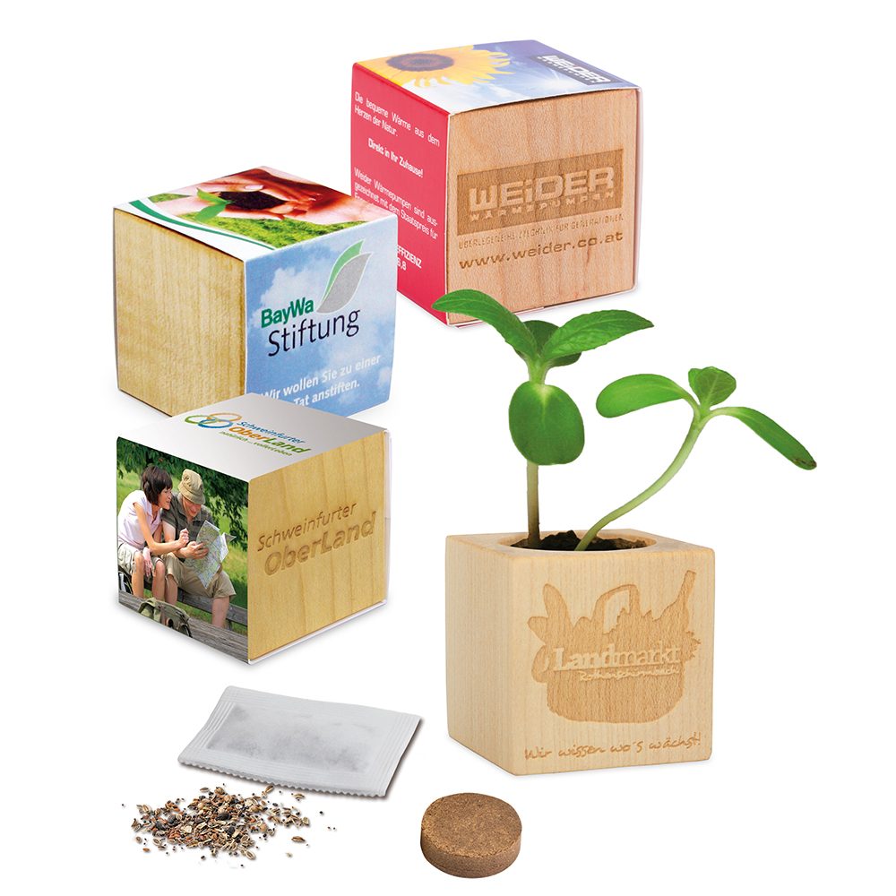 Pflanz-Holz mit Samen, emotion factory