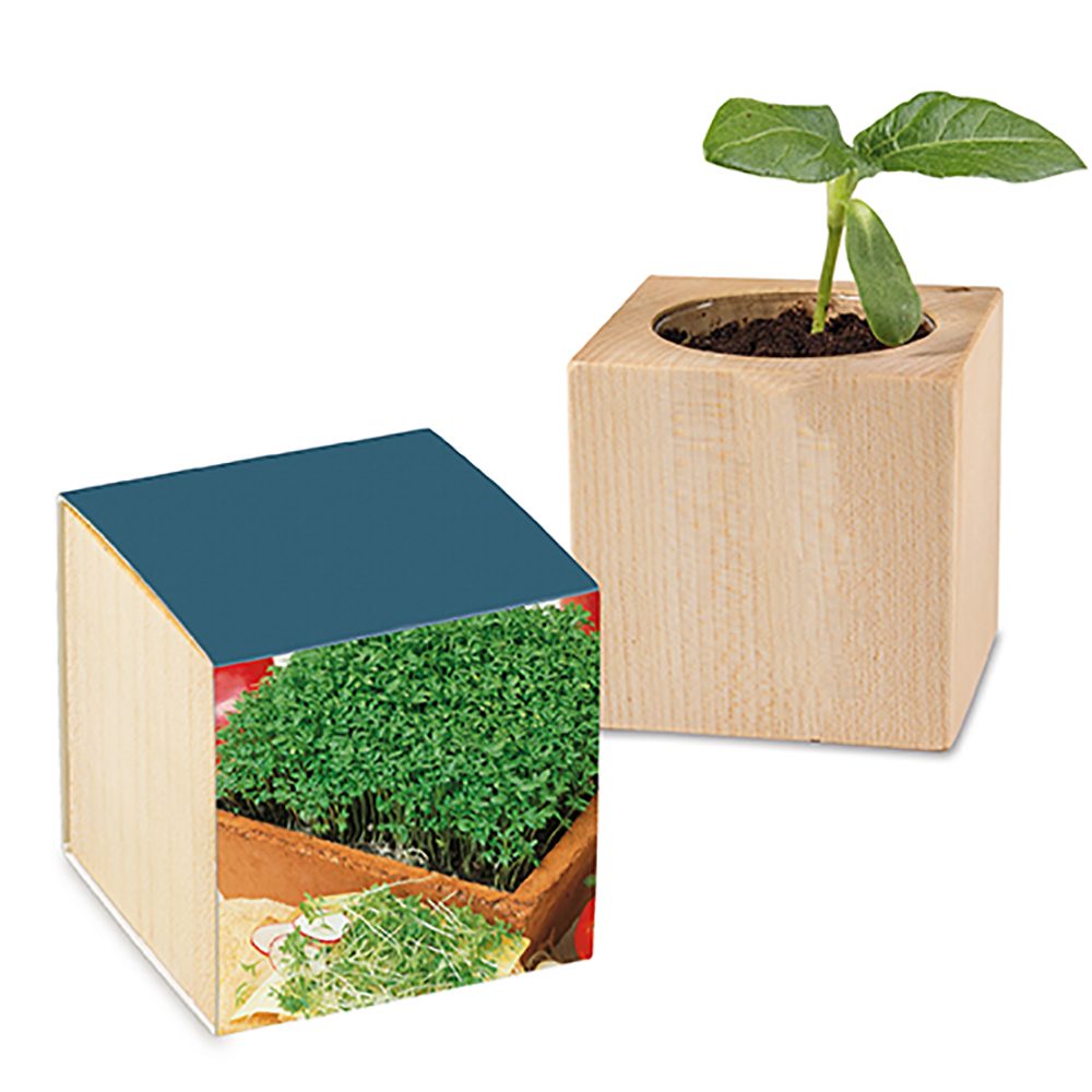 Pflanz-Holz mit Samen, Gartenkresse