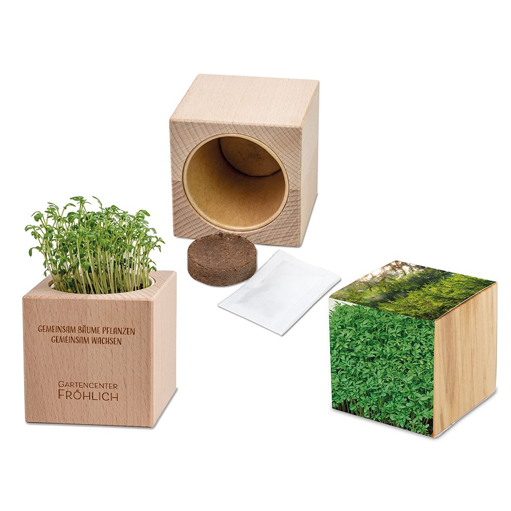 Pflanz-Holz Grande mit Samen, Gartenkresse