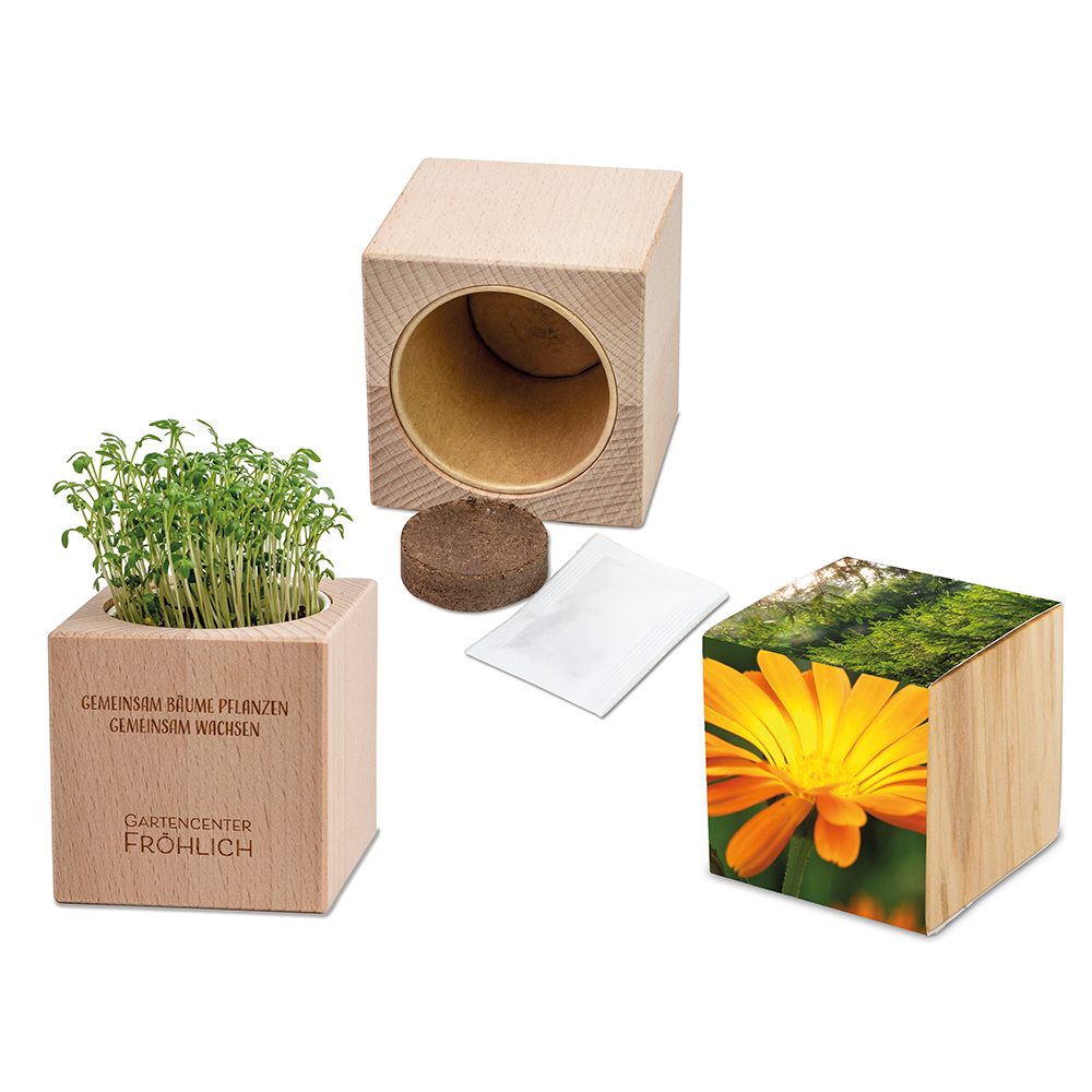 Pflanz-Holz Grande mit Samen, Ringelblume