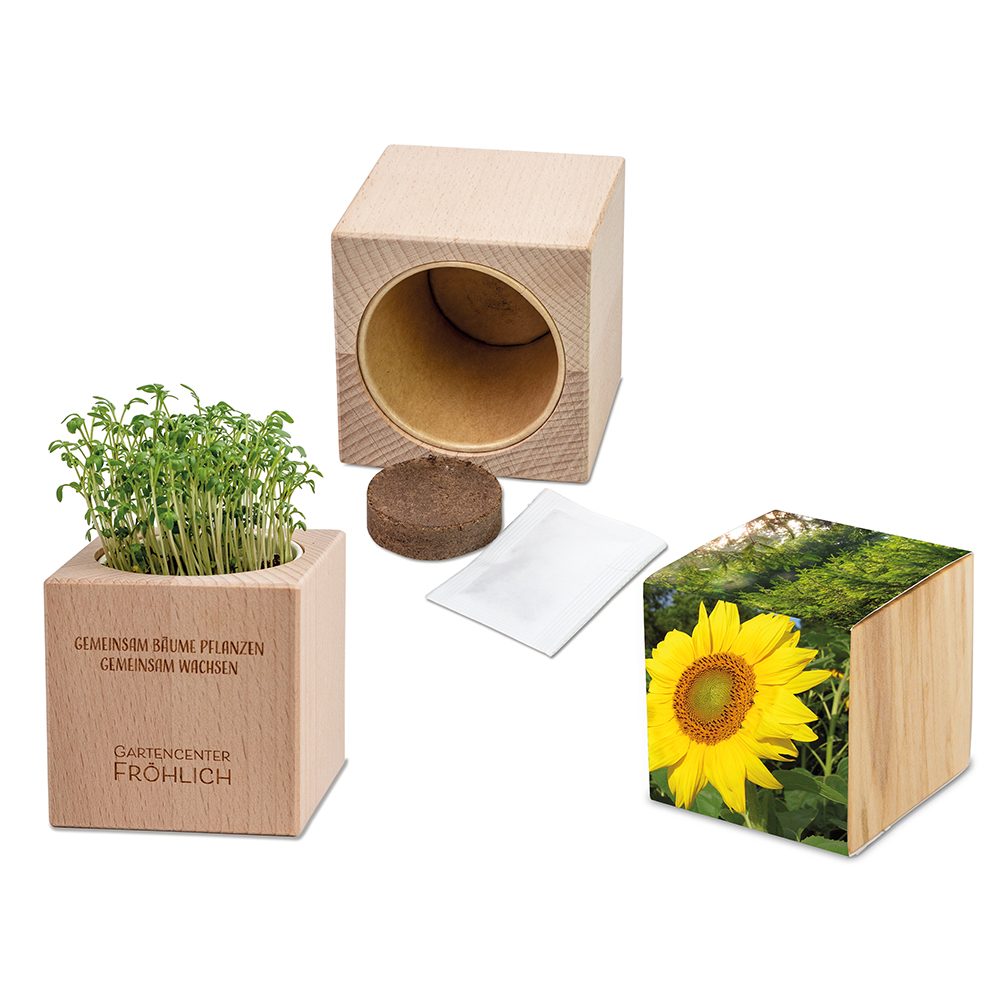 Pflanz-Holz Grande mit Samen, Sonnenblume